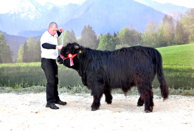 FotoKärnten2013